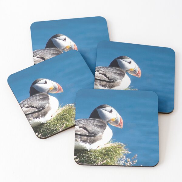 Item preview, Atlantic puffin (Fratercula arctica) designed and sold by Vidarleikur.