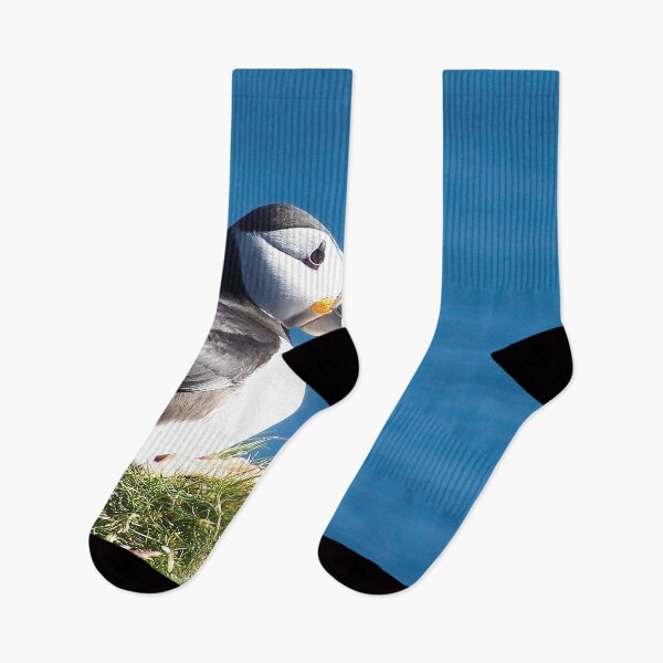 Item preview, Atlantic puffin (Fratercula arctica) designed and sold by Vidarleikur.