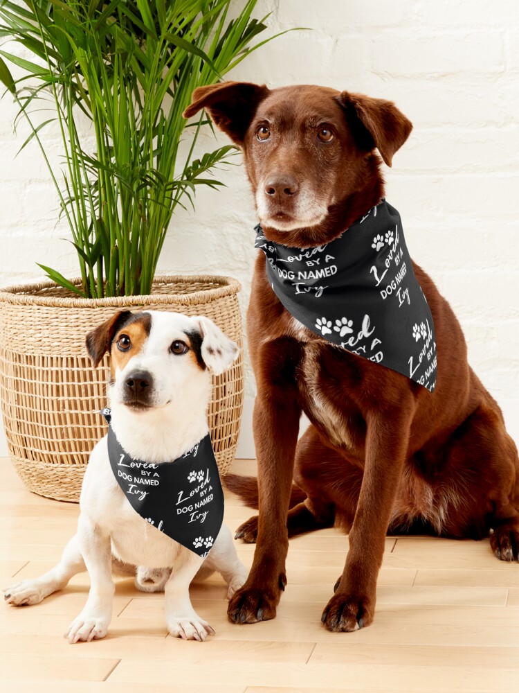 Best Dog lovers gift funny dog lovers gift for dog owners loved by a dog named ivy Pet Bandana for Sale by Golfquotes