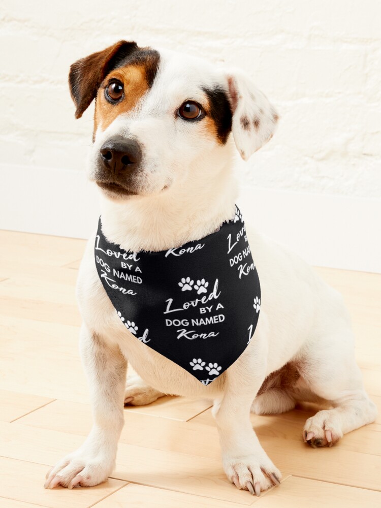 Clever Dog Bandana 