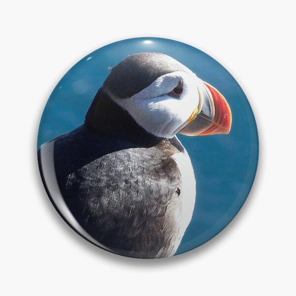 Item preview, Atlantic puffin (Fratercula arctica) designed and sold by Vidarleikur.