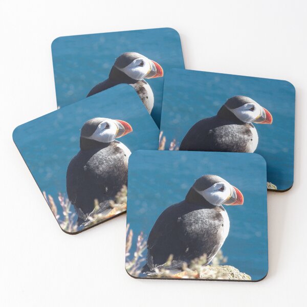 Item preview, Atlantic puffin (Fratercula arctica) designed and sold by Vidarleikur.