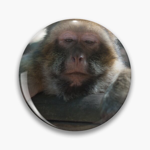 Item preview, Tired Monkey designed and sold by animalcutie.