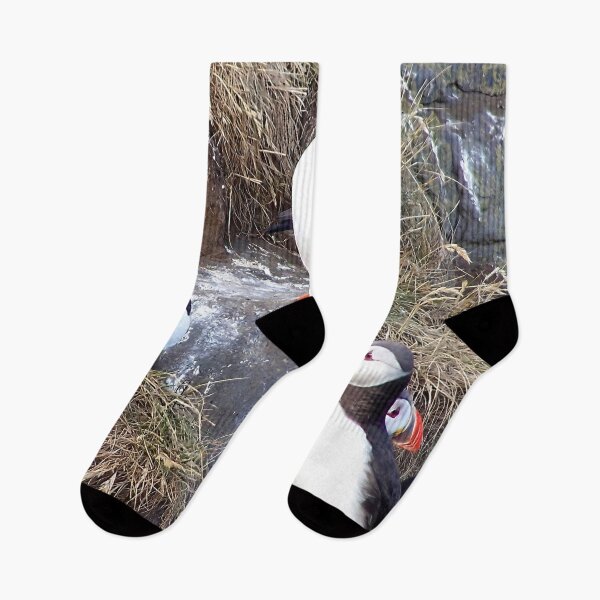 Item preview, Atlantic puffin (Fratercula arctica) designed and sold by Vidarleikur.