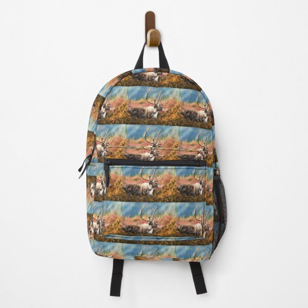 Caribou mountaineering outlet backpack