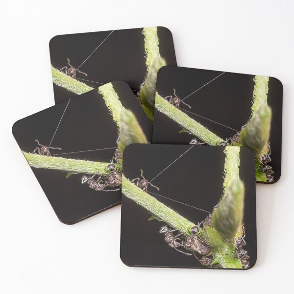Item preview, Unique and organic photo of a swarm of ants tending a treehopper designed and sold by AvonPerception.