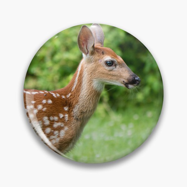 Item preview, Cute Fawn Bambi designed and sold by HectorCantres.