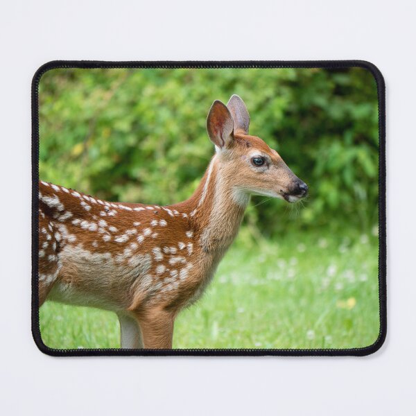 Item preview, Cute Fawn Bambi designed and sold by HectorCantres.