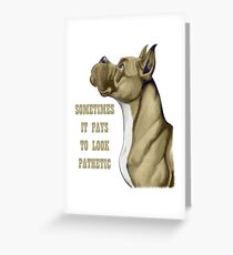 Pathetic boxer dog Greeting Card