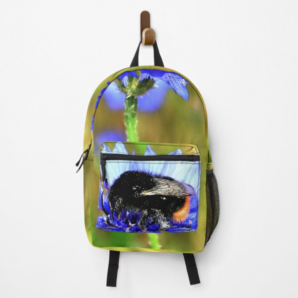 Artikelvorschau, Hummel auf blauer Kornblume entworfen und verkauft von KaSaPo.