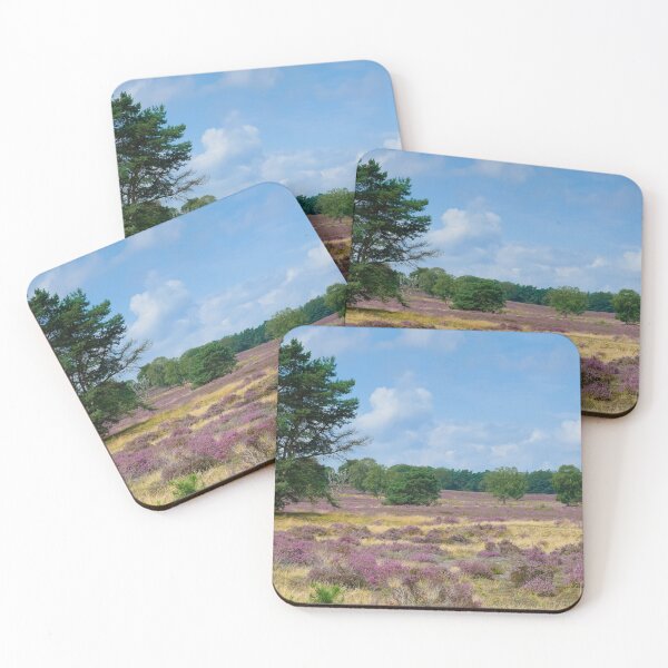 Item preview, Panorama of heathland with trees early in the morning designed and sold by Dolfilms.