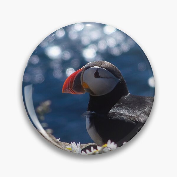 Item preview, Atlantic puffin (Fratercula arctica) designed and sold by Vidarleikur.