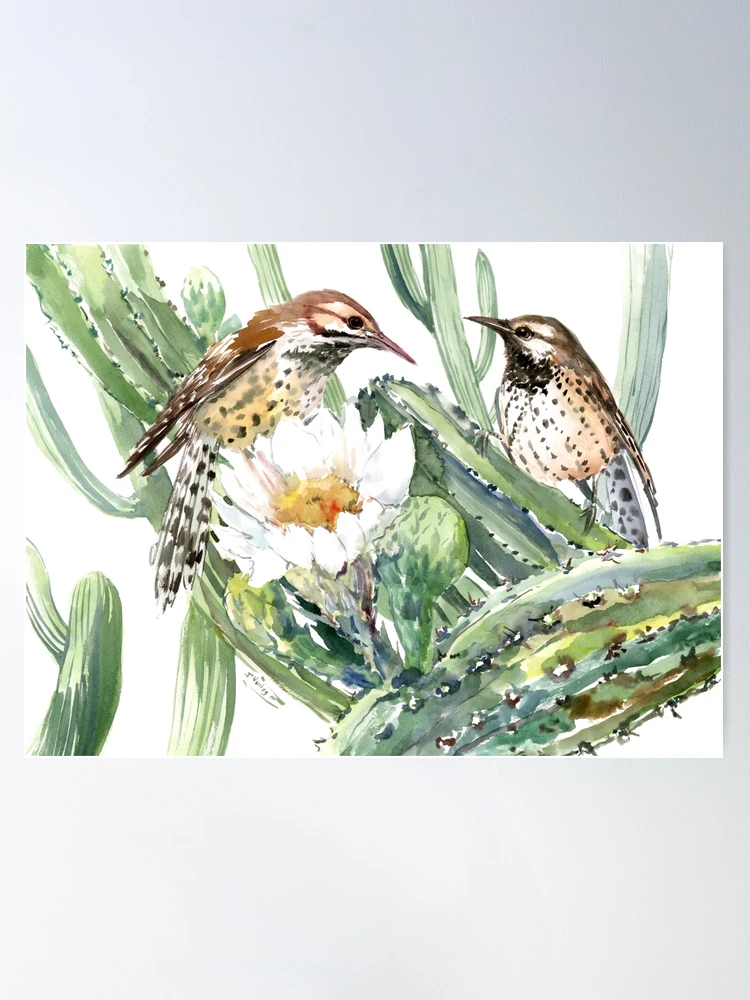 Cactus Wren, Arizona State BIrd Cap for Sale by surenart