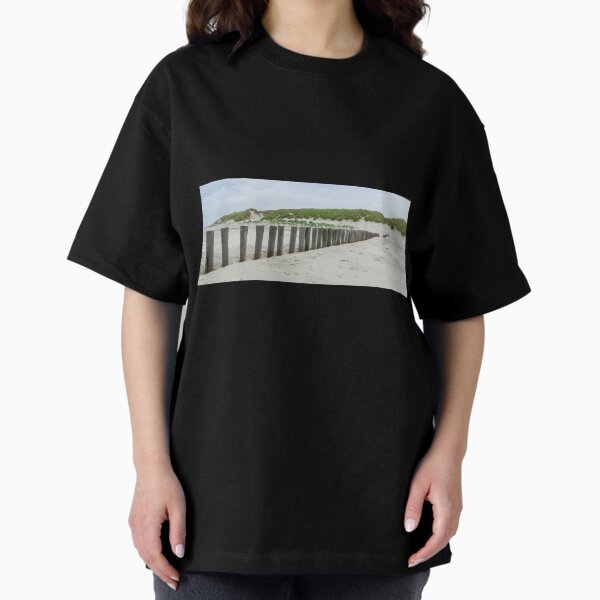 Item preview, Panoramic view of wooden breakwater along the Dutch coast of Ameland designed and sold by Dolfilms.