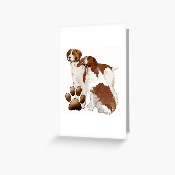 Two Brittany Spaniels Greeting Card