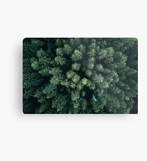 Forest Drone - Landscape Photography Metal Print