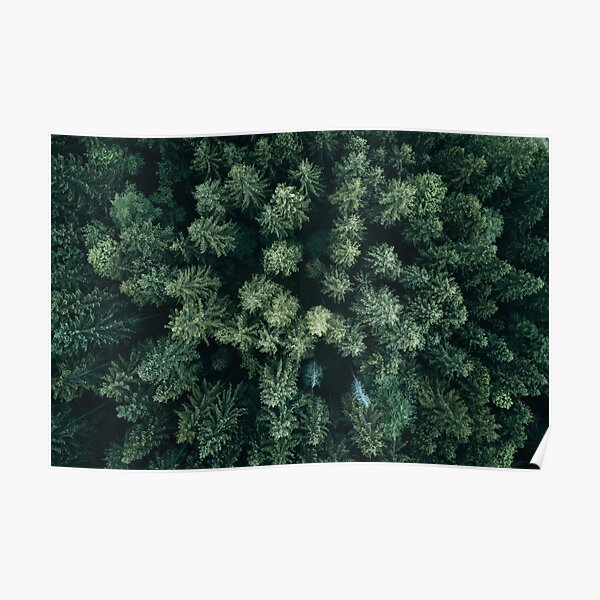 Forest Drone - Landscape Photography Poster