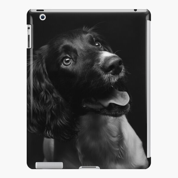 Working english springer spaniel iPad Snap Case