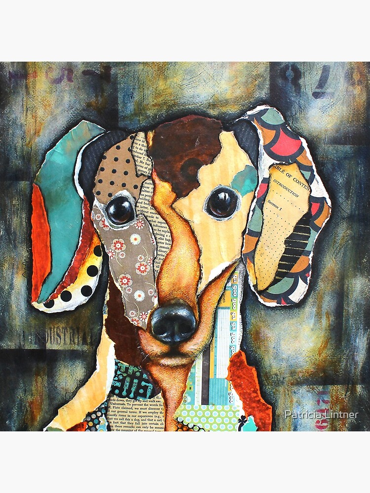 Dachshund by plintner