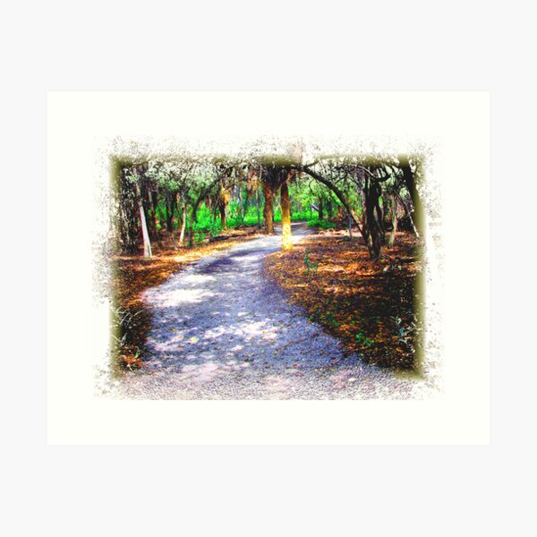 Item preview, Walkway Through The Park designed and sold by glink.