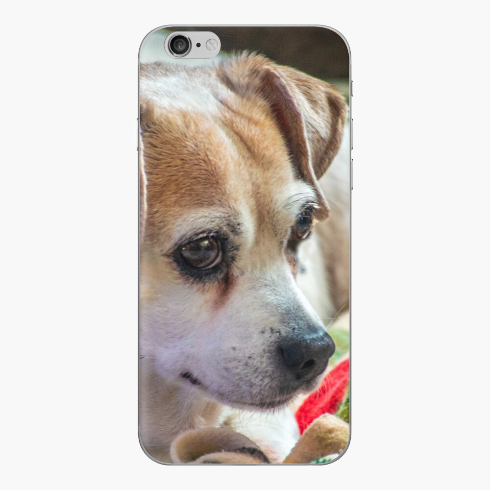 Item preview, iPhone Skin designed and sold by jwwalter.