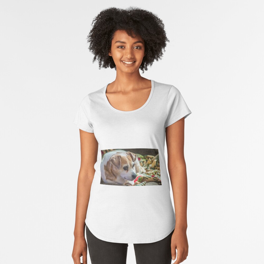 Item preview, Premium Scoop T-Shirt designed and sold by jwwalter.