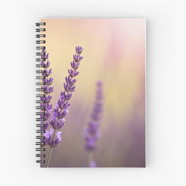 Item preview, Lavender flowers designed and sold by Catrinann.