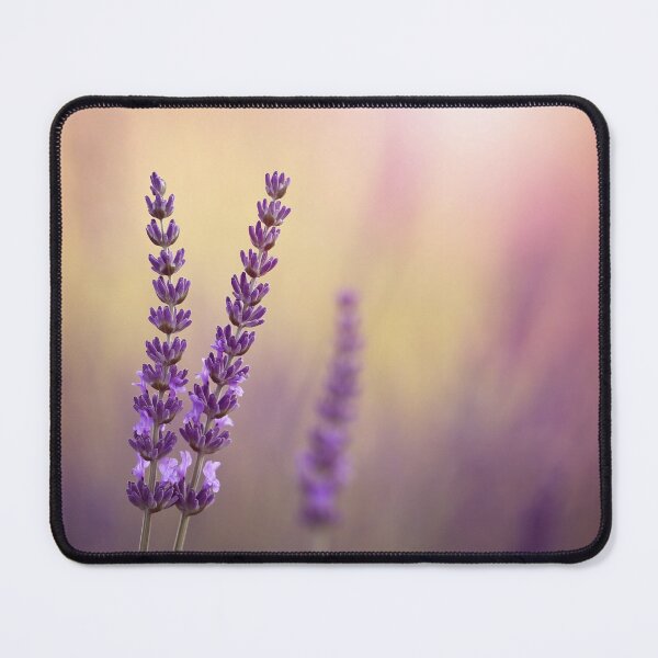 Item preview, Lavender flowers designed and sold by Catrinann.