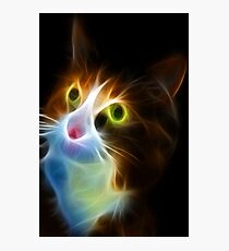 <º))))>< U LIGHT UP MY LIFE CAT VERSION TWO CARD/PICTURE<º))))>< Photographic Print