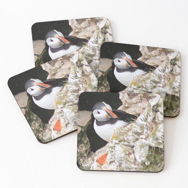 Item preview, Puffin on cliff edge designed and sold by HazelWright.