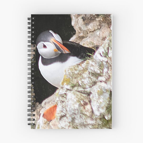 Item preview, Puffin on cliff edge designed and sold by HazelWright.