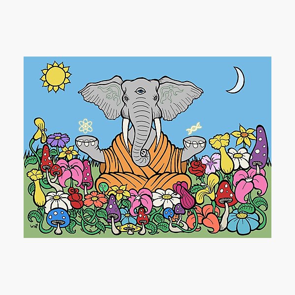 Third Eye Elephant Photographic Print