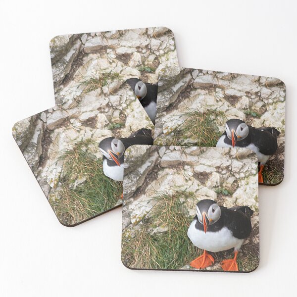 Item preview, Puffin on a cliff edge designed and sold by HazelWright.