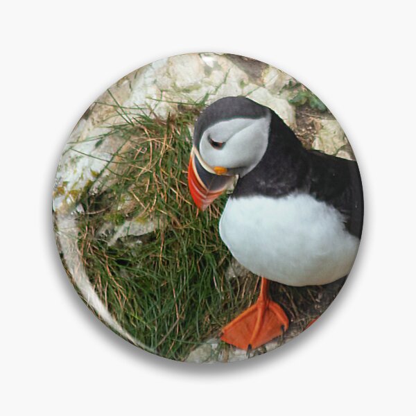 Item preview, Puffin on a cliff edge designed and sold by HazelWright.