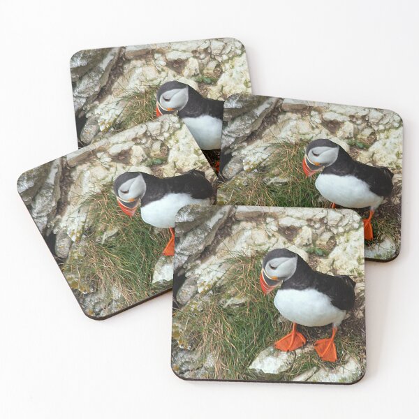 Item preview, Puffin on a cliff edge designed and sold by HazelWright.