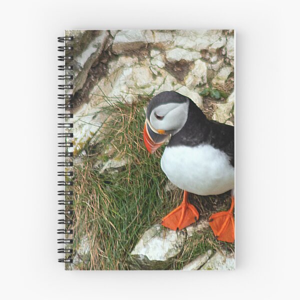 Item preview, Puffin on a cliff edge designed and sold by HazelWright.