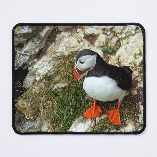Item preview, Puffin on a cliff edge designed and sold by HazelWright.
