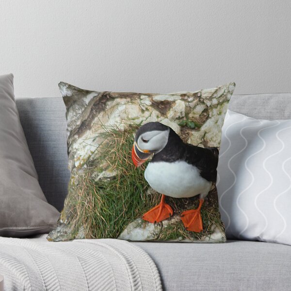 Item preview, Puffin on a cliff edge designed and sold by HazelWright.