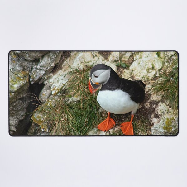 Item preview, Puffin on a cliff edge designed and sold by HazelWright.