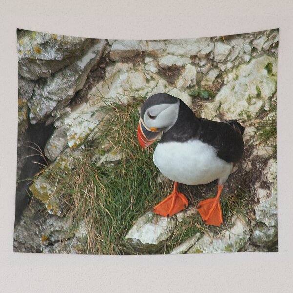 Item preview, Puffin on a cliff edge designed and sold by HazelWright.
