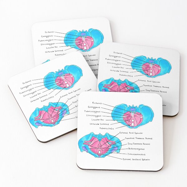 Item preview, Pelvic Floor Muscles designed and sold by Caroline Shea.