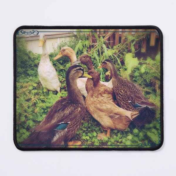 Item preview, Lucky Duckies  designed and sold by AmandaFaye99.