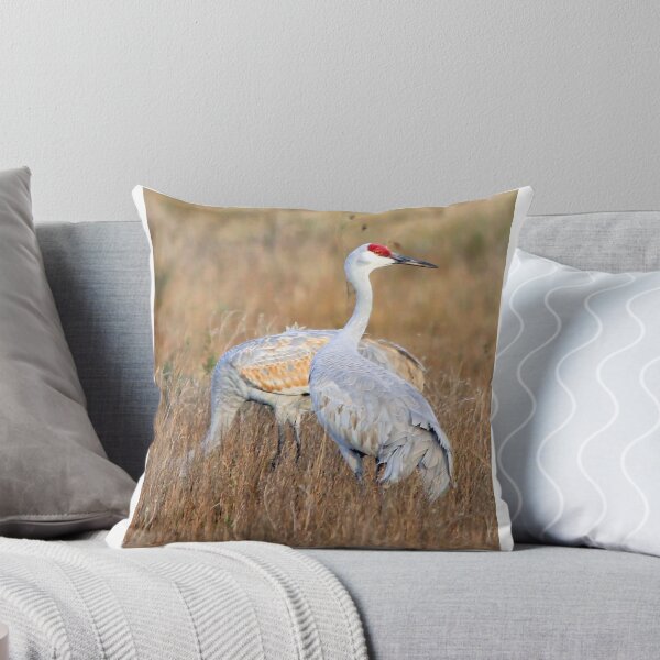 Item preview, Sand Hill Cranes designed and sold by SuddenJim.