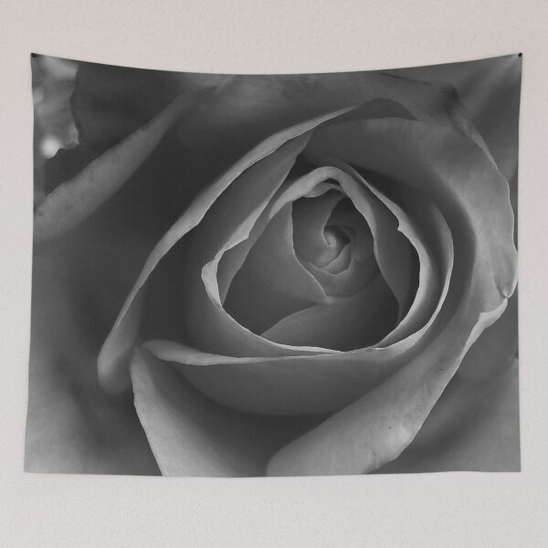 Item preview, Beautiful Rose designed and sold by Bumpulous.