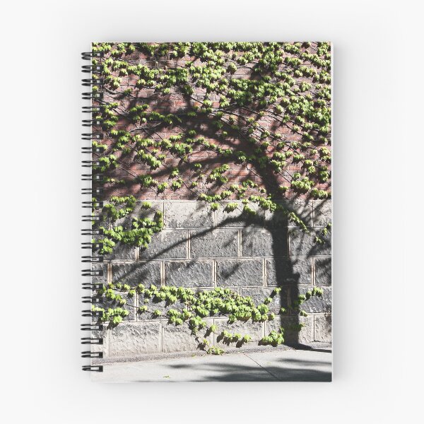 Item preview, The Shadow Tree designed and sold by PhotosByHealy.