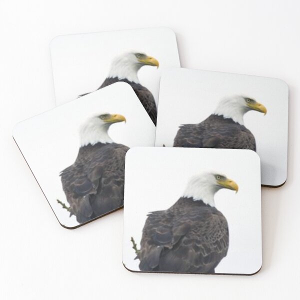 Item preview, American Bald Eagle American Bald Eagle. designed and sold by Fasharts.