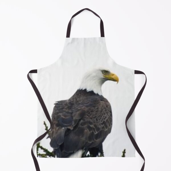 Artikelvorschau, Amerikanischer Weißkopfseeadler Amerikanischer Weißkopfseeadler. entworfen und verkauft von Fasharts.