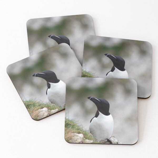 Item preview, Razorbill on cliff top designed and sold by HazelWright.