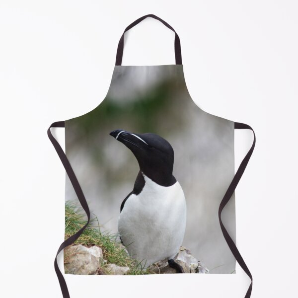 Item preview, Razorbill on cliff top designed and sold by HazelWright.