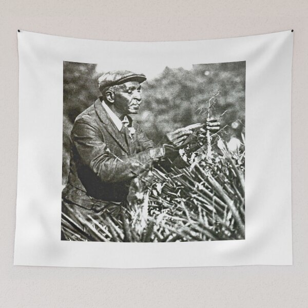 Item preview, Carver - George Washington Carver - The Greatest Plants Lover designed and sold by VintagePeople.